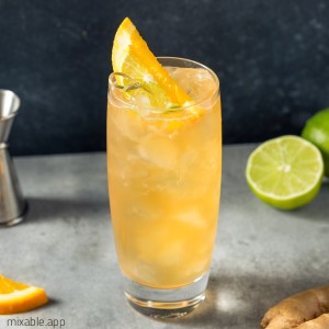 No-Go cocktail recipe