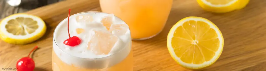 Raki Sour