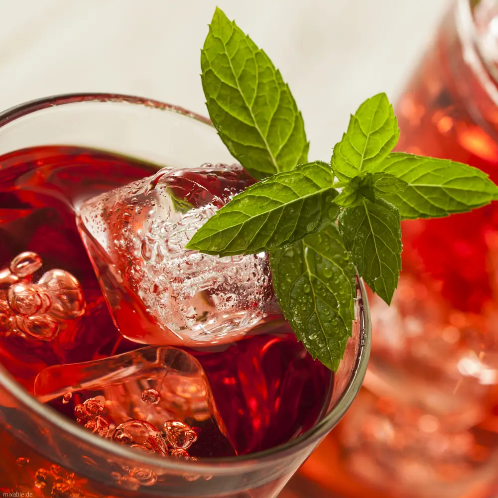 Rotes Getränk, garniert mit Minzblättern.