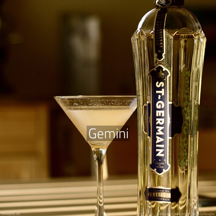 Recipe Gemini, Cocktails & Drinks mixable.app