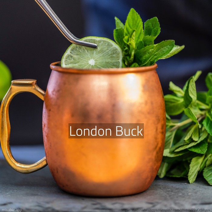 Recipe: London Buck, Cocktails & Drinks | mixable.app