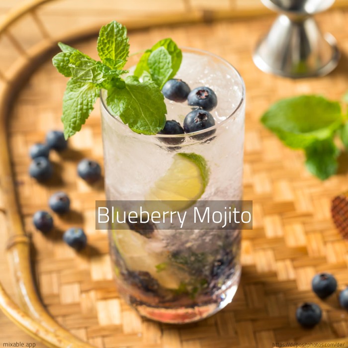 Recipe: Blueberry Mojito, Cocktails &amp; Drinks | mixable.app