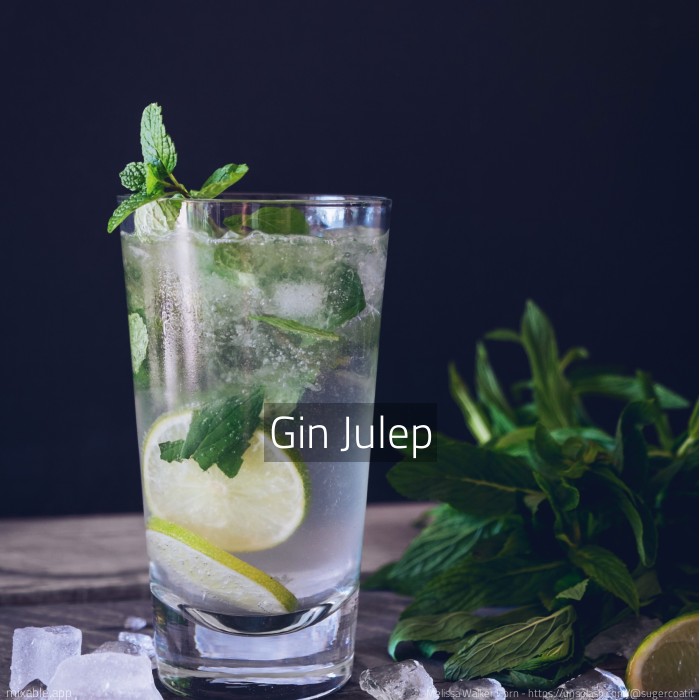 Recipe: Gin Julep, Cocktails & Drinks | mixable.app