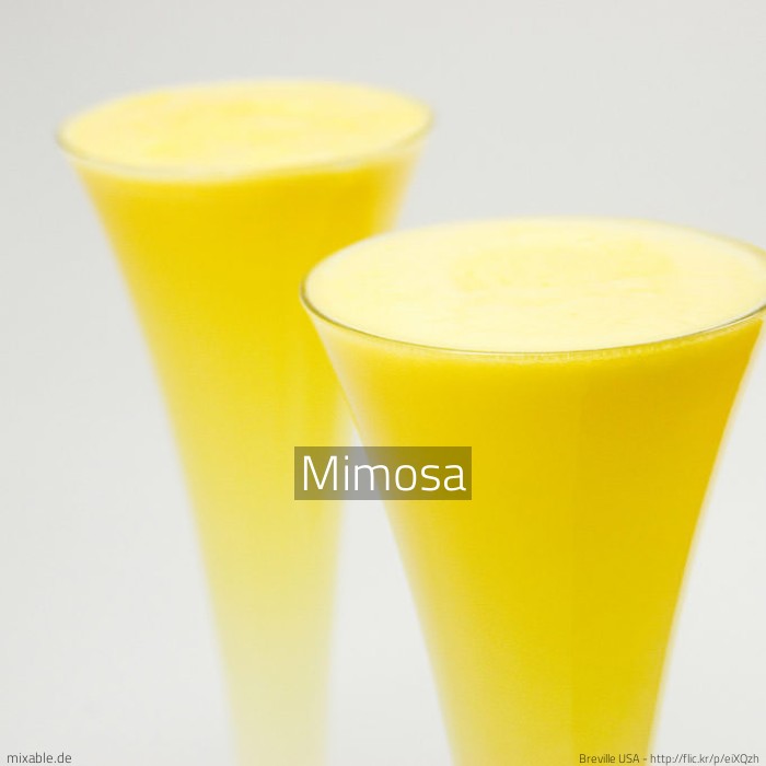 Mimosa