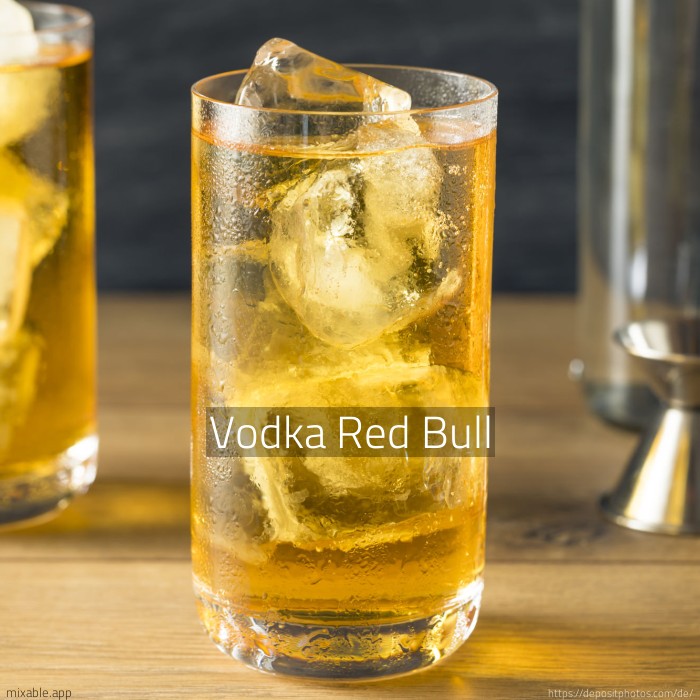 Recipe Vodka Red Bull, Cocktails & Drinks mixable.app