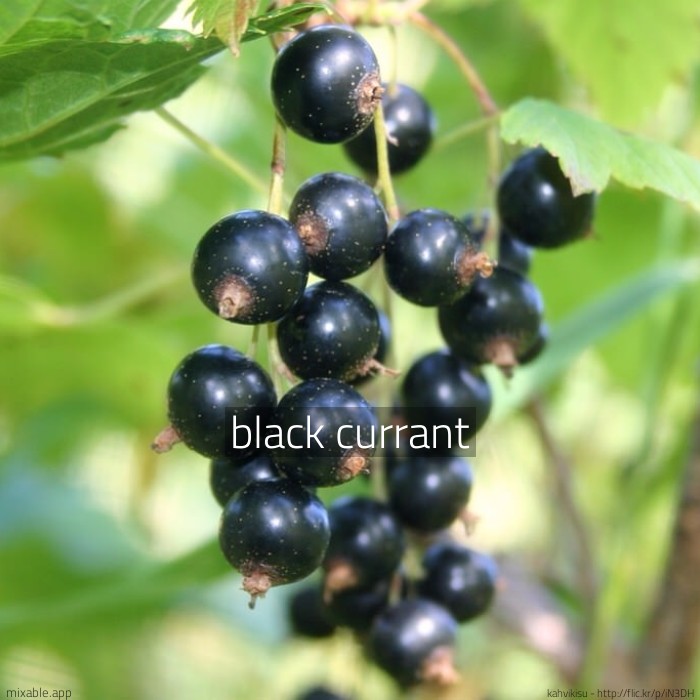 Recipe: black currant, Cocktails & Drinks | mixable.app
